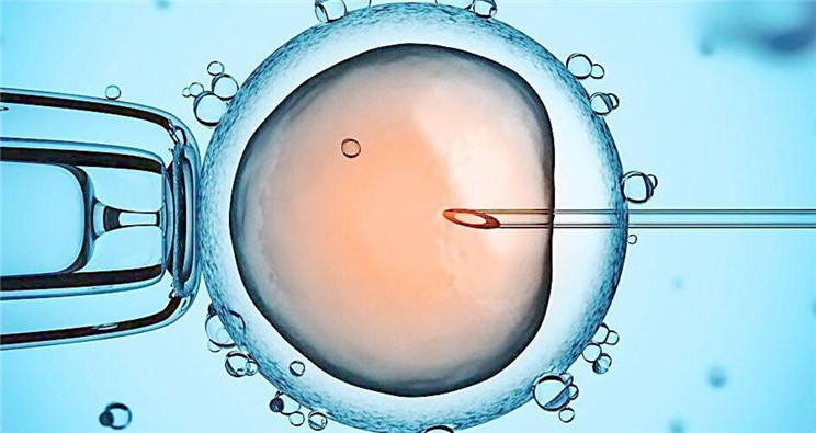 如果我发现在赠卵试管婴儿中没有受精，我应该怎么办？