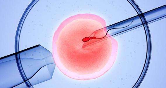 谷氨酰转肽酶高能做供卵试管婴儿吗要看什么？