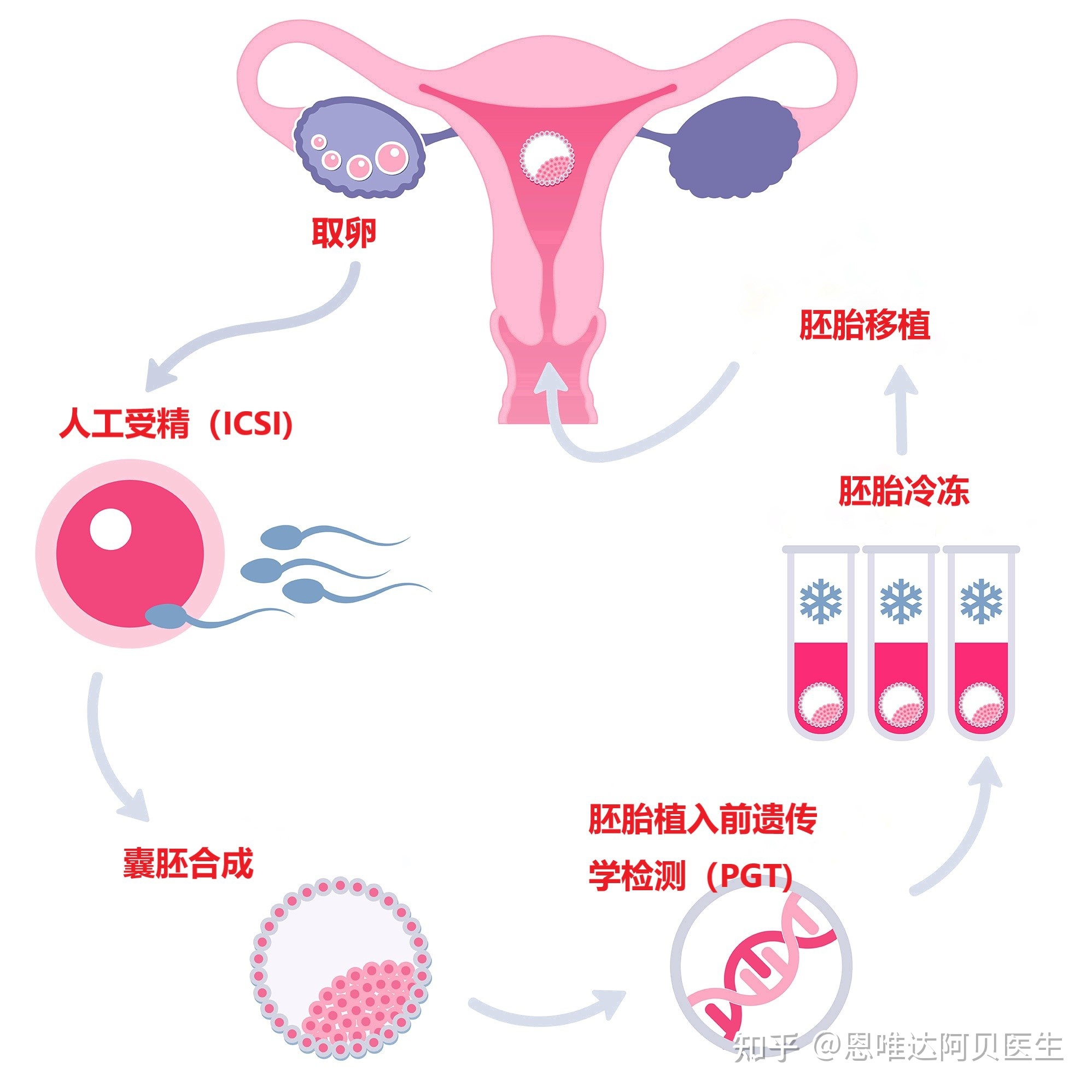 张家口曙光医院生殖中心供卵做试管婴儿和人工授精说明