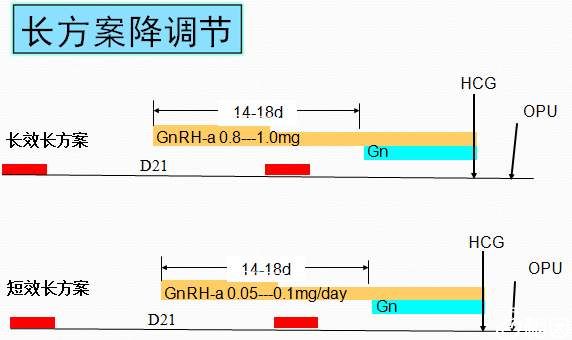 你知道赠卵试管自怀供卵的过程是什么样的吗？