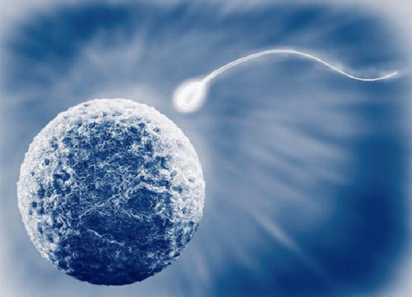 供卵做试管三代自怀移植前的最佳孕酮值供卵做私立自怀试管移植期间孕酮值的重要性