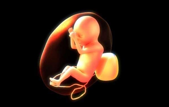 胚胎等级和赠卵试管成功率到底存在什么关系
