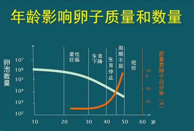 三代借卵试管染色体筛查结果+6