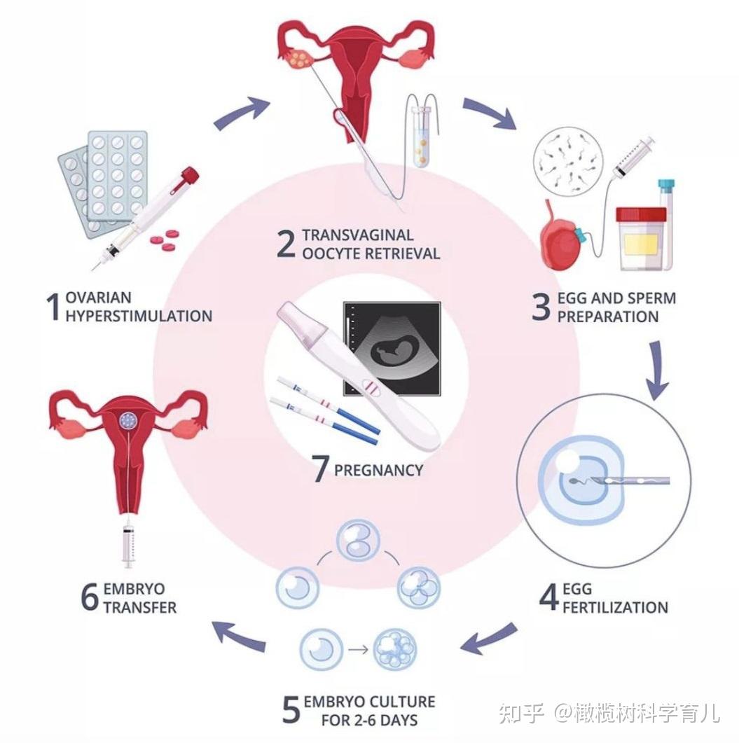 石家庄试管代怀试管婴儿网站生孩子价格多少