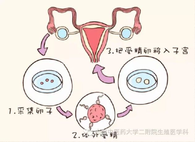 河北石家庄有能哪可以试管代怀婴儿的医院吗