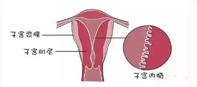 在北方一附院做试管代怀哪些医院婴儿一次性成功要花多少钱