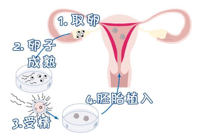 助孕高端机构指南-河北集爱医院是公立还是私立