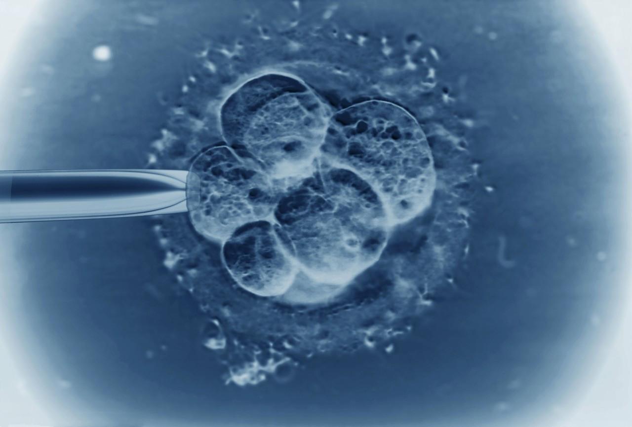 2024年女性HPV11的检查结果显示阳性可以助孕代怀生子吗（试管费用明细一览）